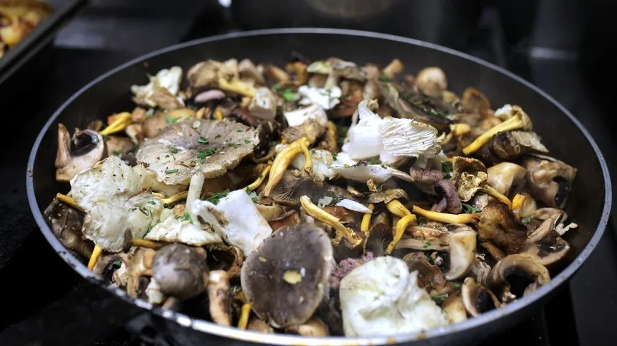 Grande poêlée de champignons et d'œufs